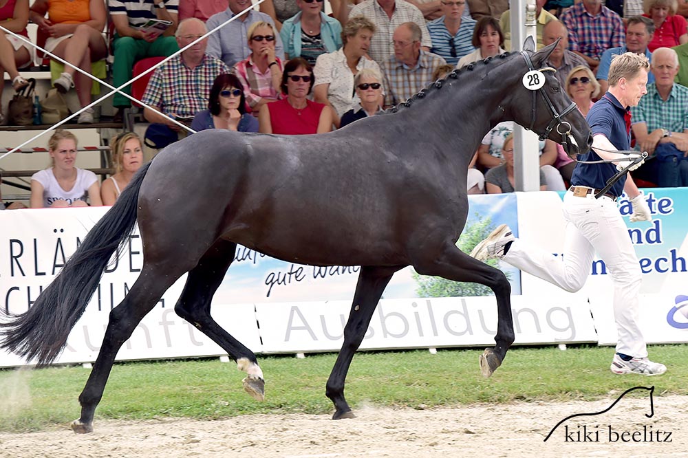 "White Fleur" von Floriscount - Donnerschwee in Rastede 2014!